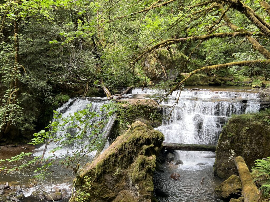 roseburg 2 roseburg 2