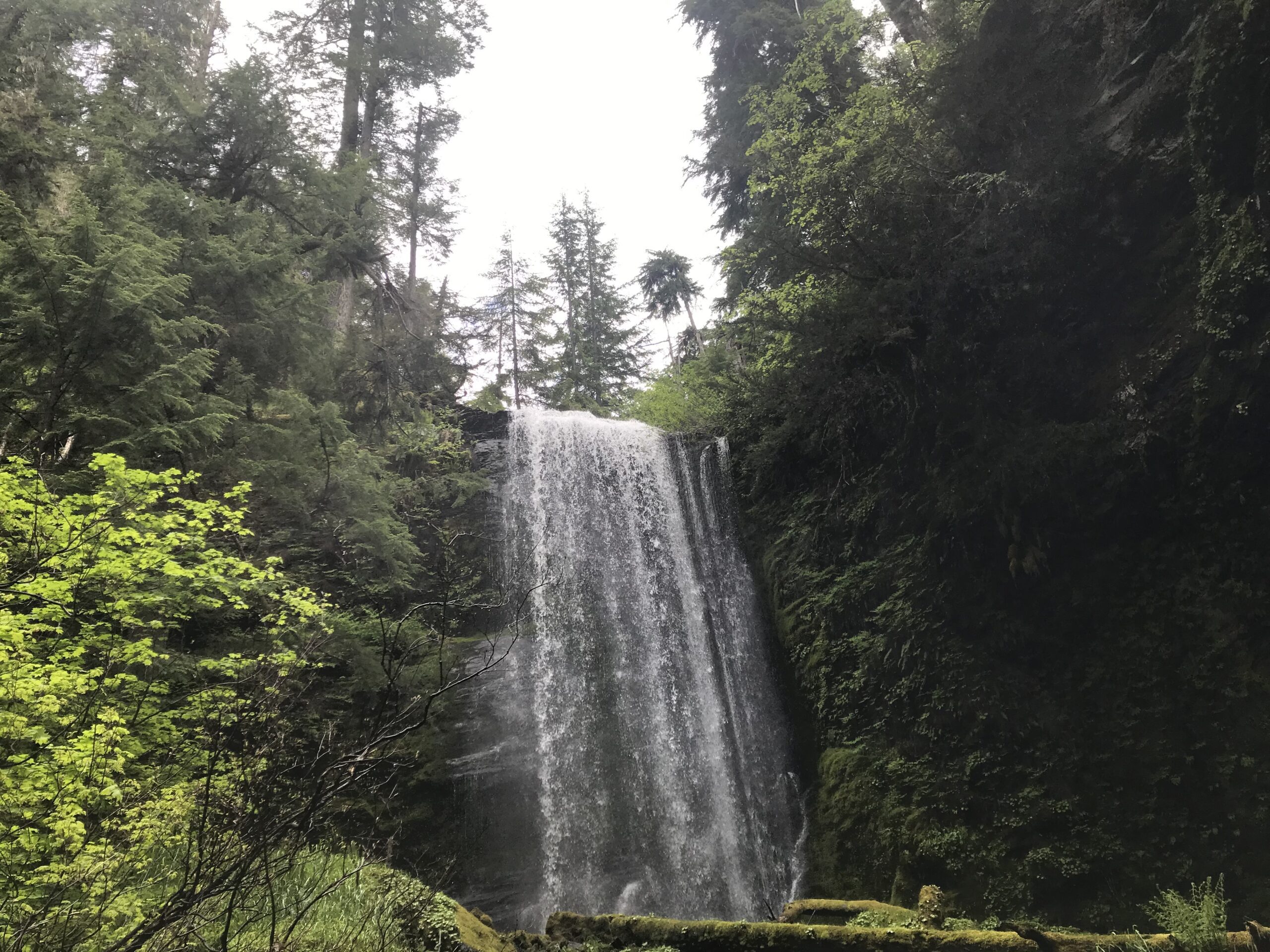 roseburg Roseburg oregon water fall in douglas county